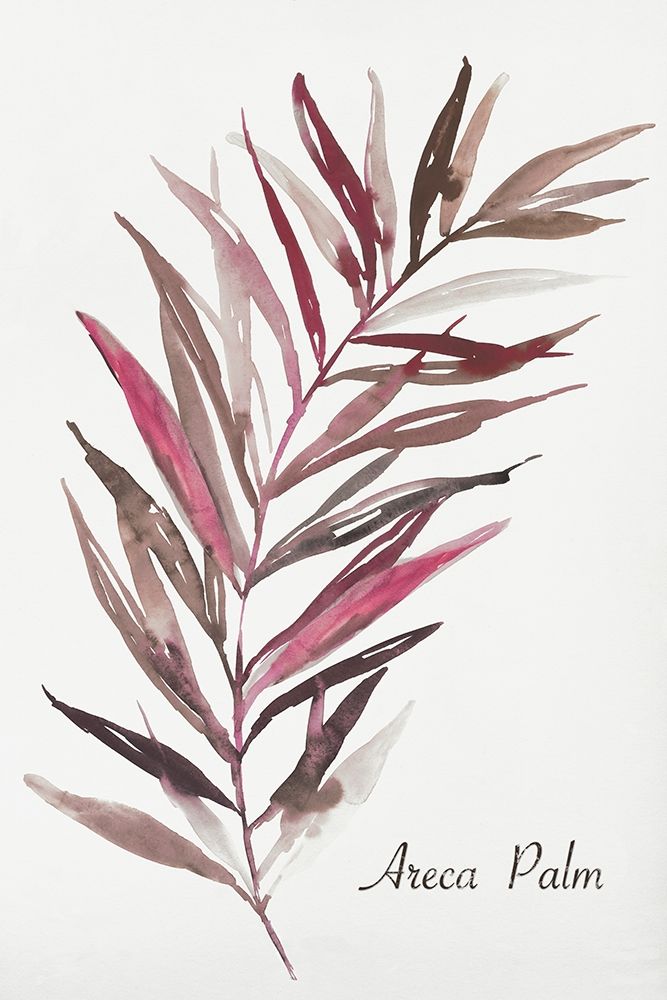 Areca Palm art print by Aimee Wilson for $57.95 CAD
