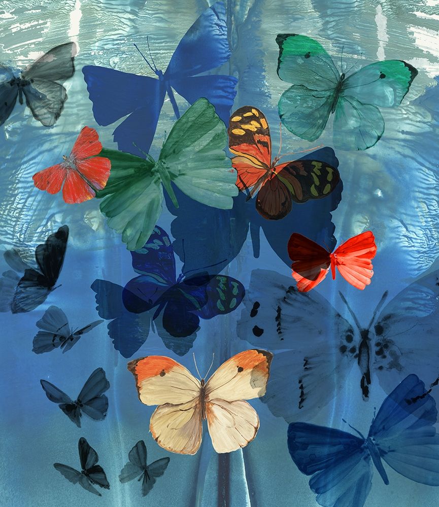 Fluttering Butterflies art print by Aimee Wilson for $57.95 CAD