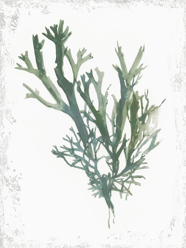 Emerald Coral I art print by Aimee Wilson for $57.95 CAD