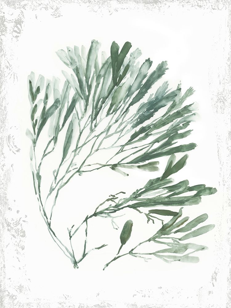 Emerald Coral II art print by Aimee Wilson for $57.95 CAD