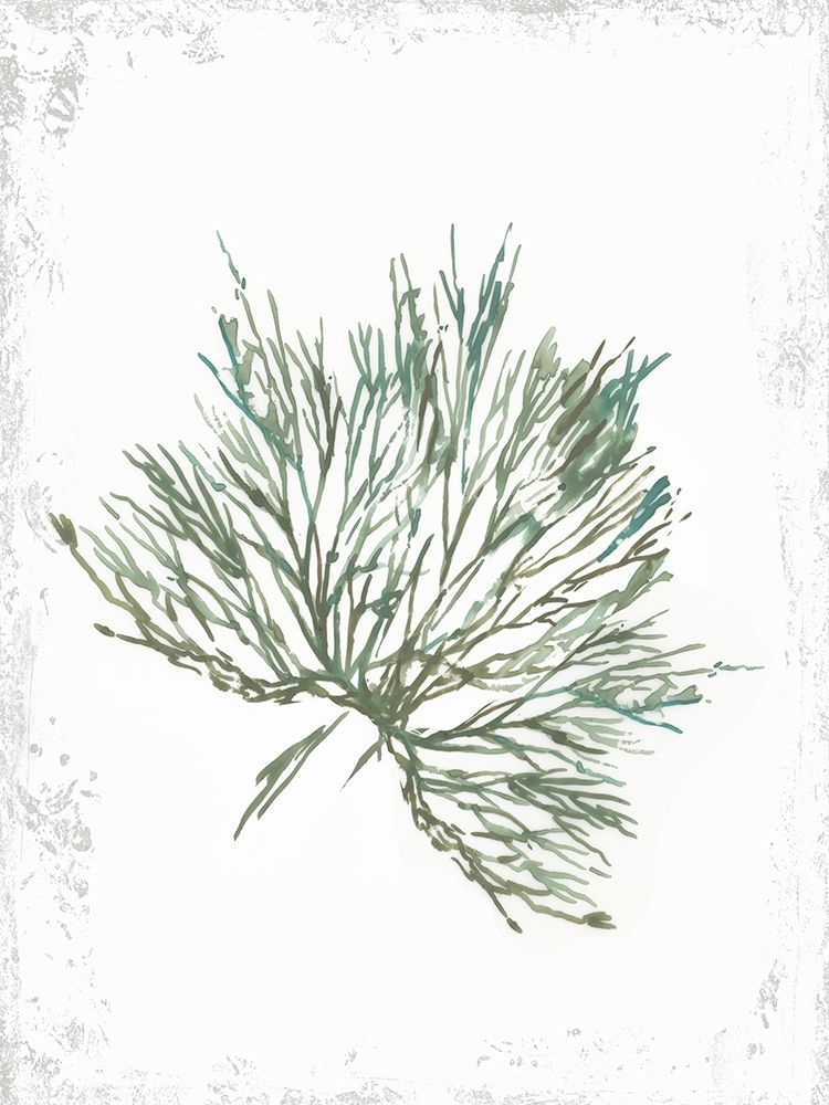 Emerald Coral III art print by Aimee Wilson for $57.95 CAD