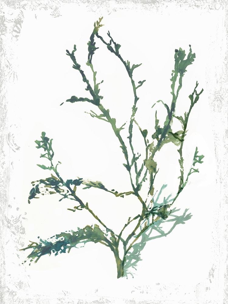 Emerald Coral IV art print by Aimee Wilson for $57.95 CAD