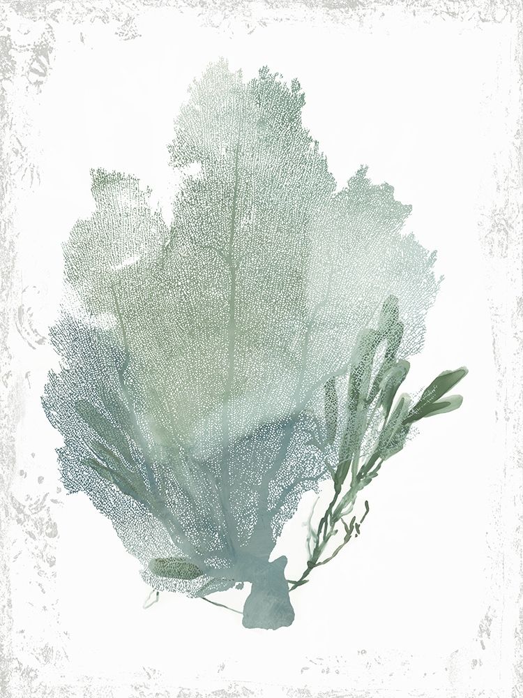Teal Delicate Coral I art print by Aimee Wilson for $57.95 CAD