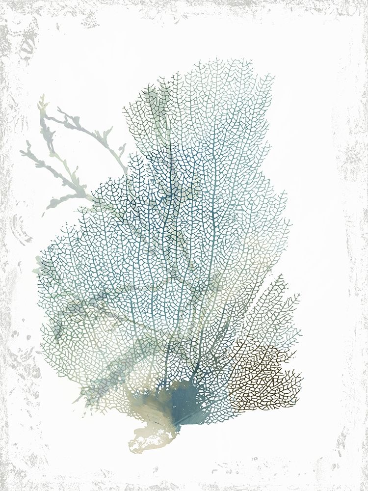Teal Delicate Coral II art print by Aimee Wilson for $57.95 CAD