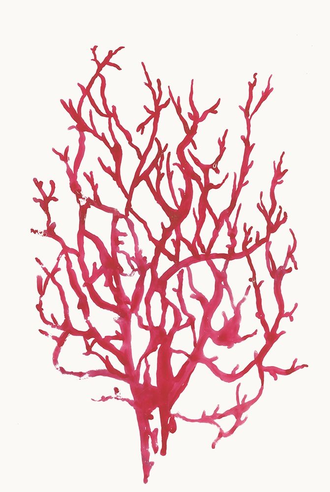Red Reef Coral I art print by Aimee Wilson for $57.95 CAD