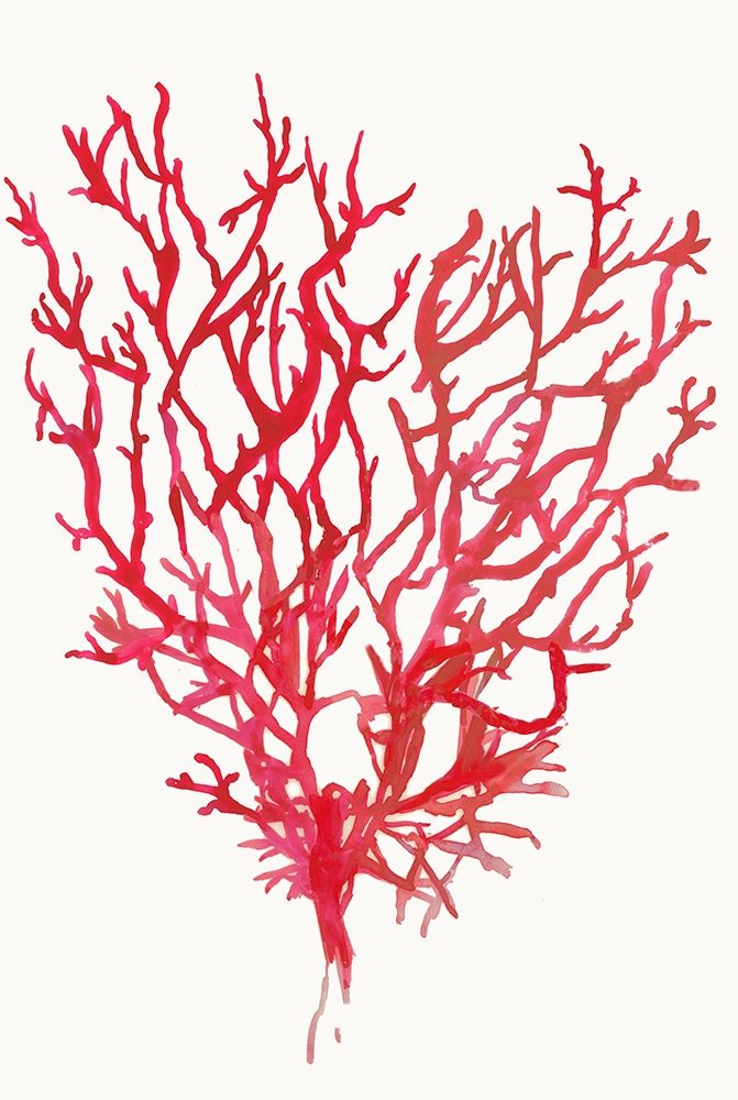 Red Reef Coral II art print by Aimee Wilson for $57.95 CAD