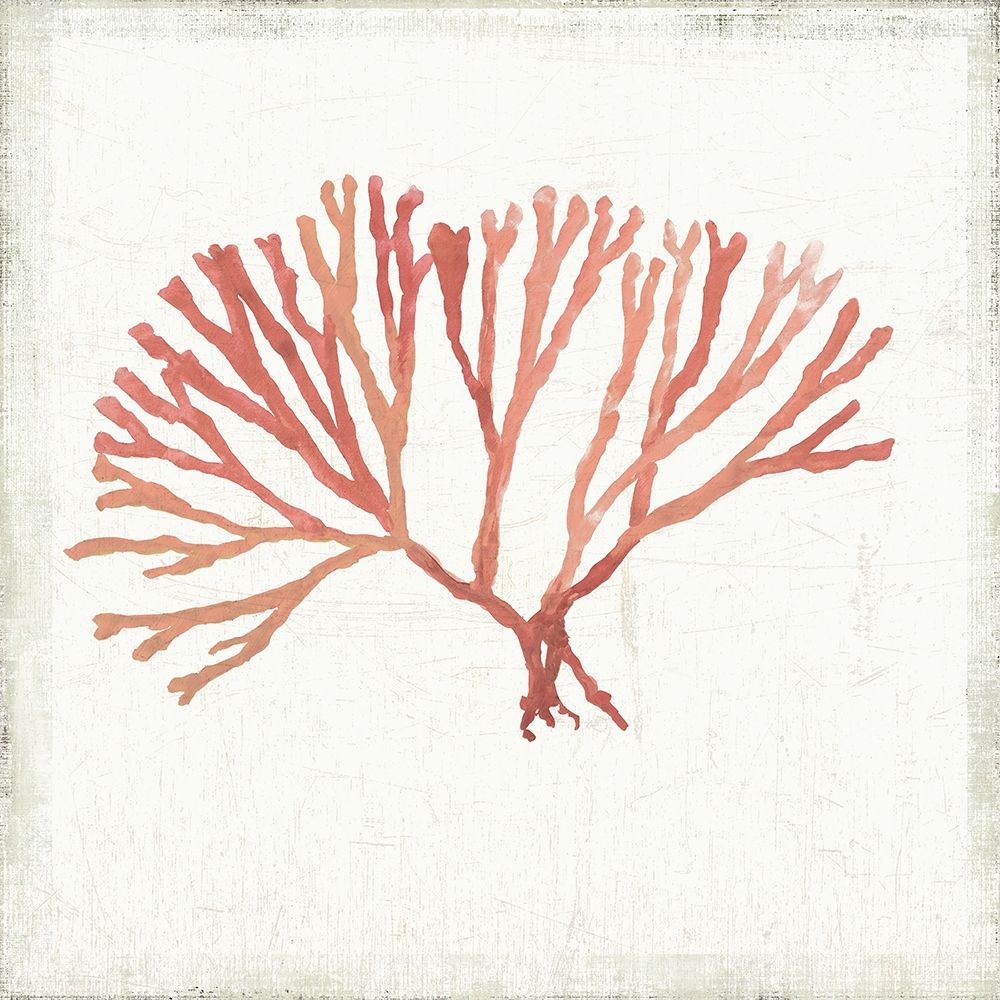 Ocean Gifts I art print by Aimee Wilson for $57.95 CAD