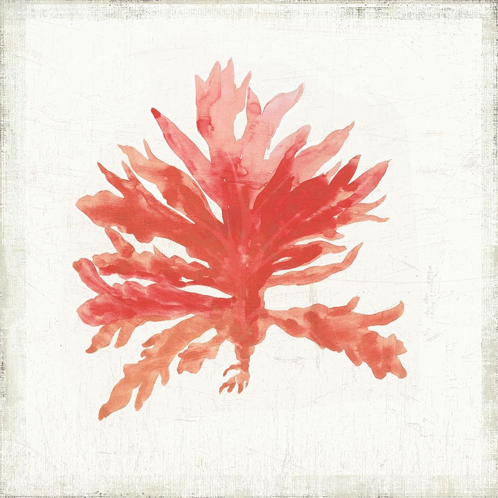 Ocean Gifts II art print by Aimee Wilson for $57.95 CAD