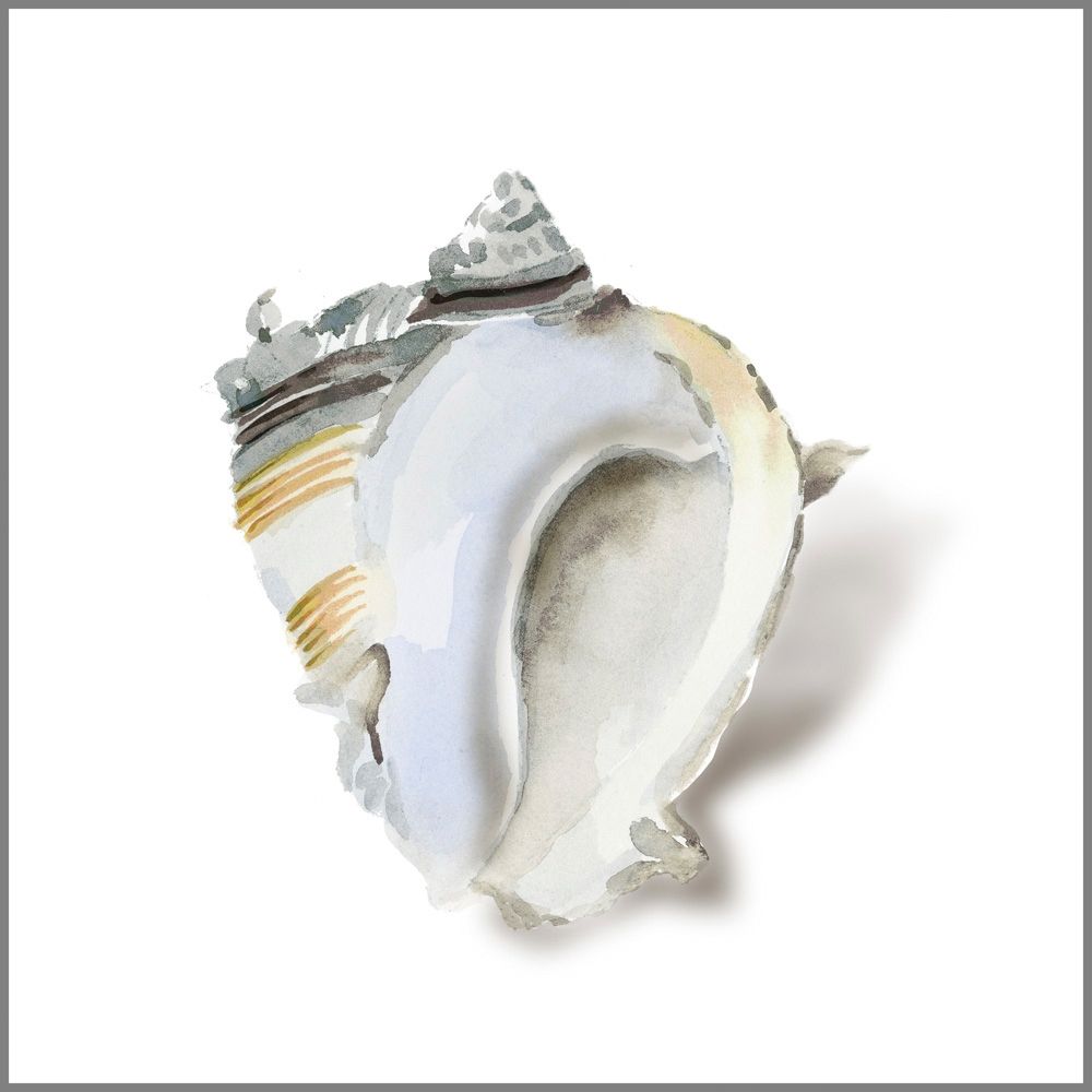 Seafoam Shell art print by Aimee Wilson for $57.95 CAD