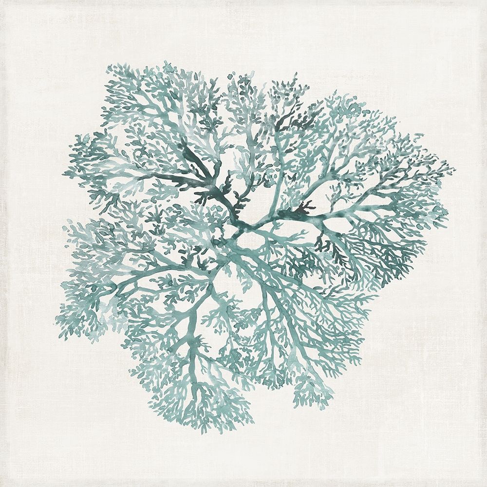 Teal Coral I art print by Aimee Wilson for $57.95 CAD