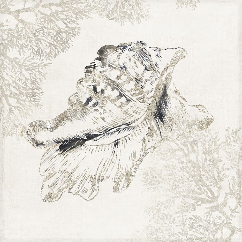 Silver Shell I art print by Aimee Wilson for $57.95 CAD