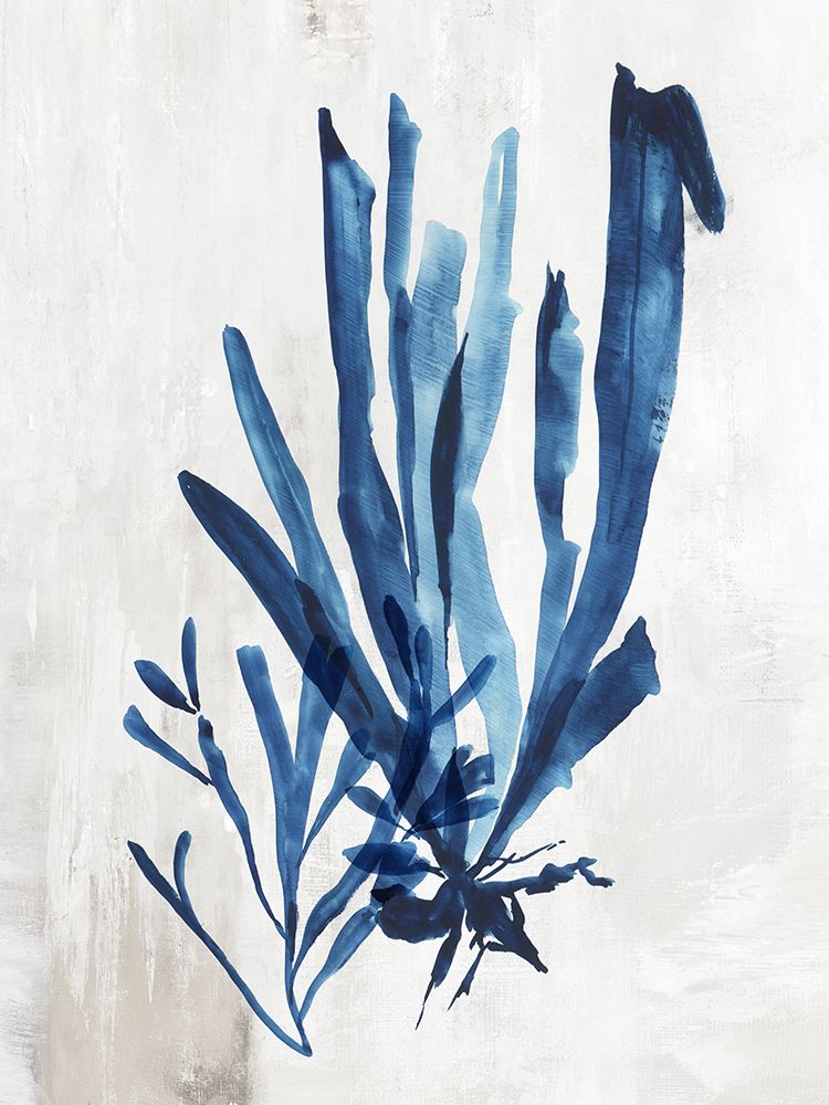 Coral Plant III art print by Aimee Wilson for $57.95 CAD