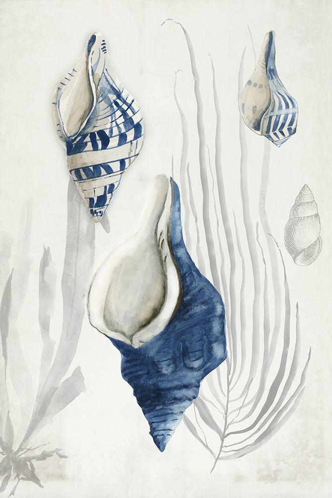 Antique Shells I art print by Aimee Wilson for $57.95 CAD