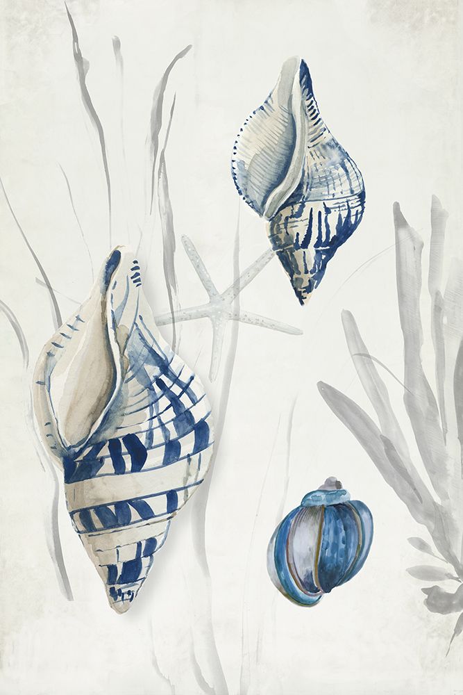 Antique Shells II art print by Aimee Wilson for $57.95 CAD