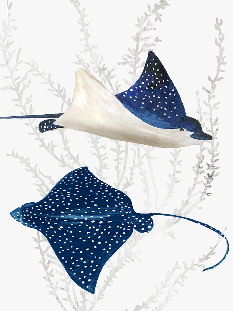 Blue Stingray II art print by Aimee Wilson for $57.95 CAD