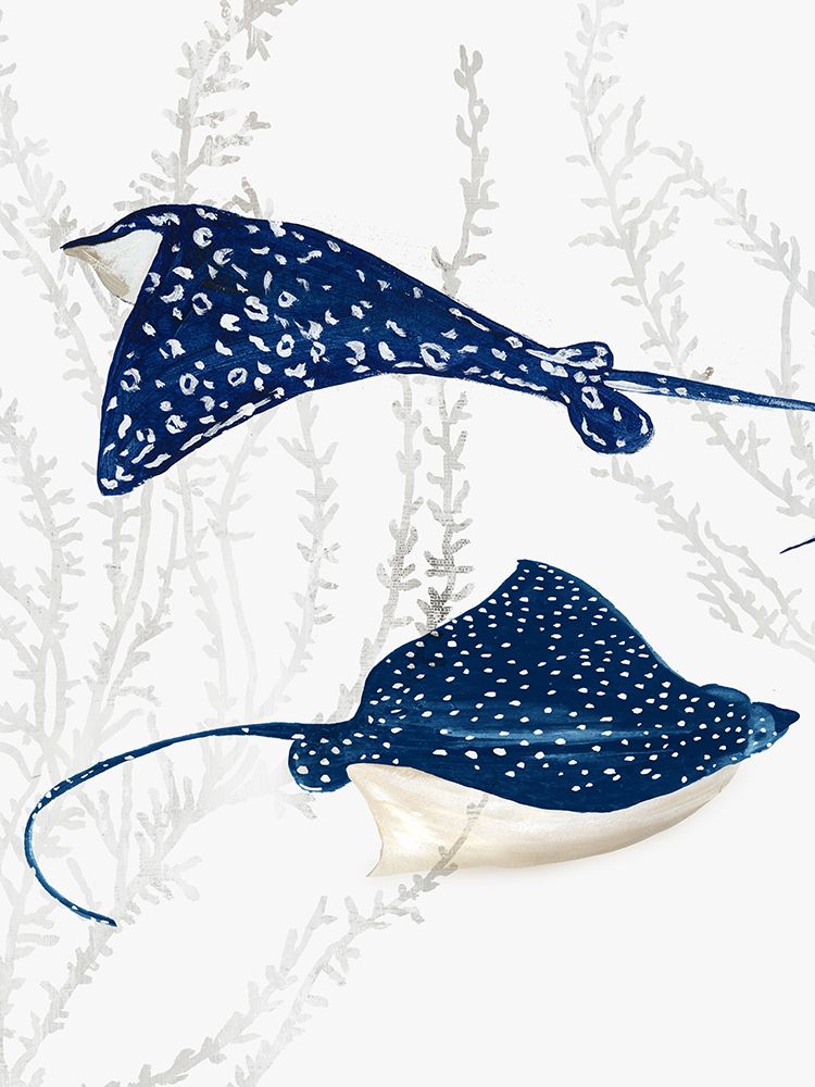 Blue Stingray III art print by Aimee Wilson for $57.95 CAD