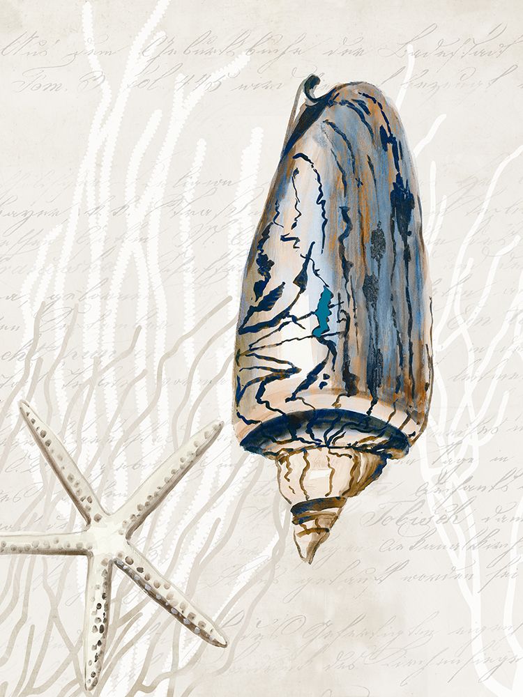 Blue Shell Series I art print by Aimee Wilson for $57.95 CAD