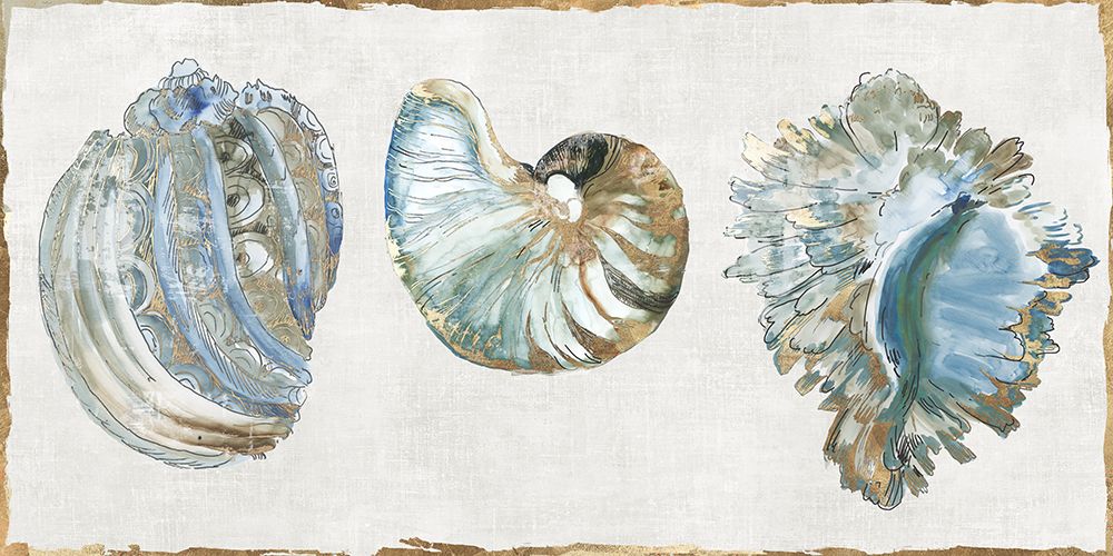 Golden Blue Shells art print by Aimee Wilson for $57.95 CAD