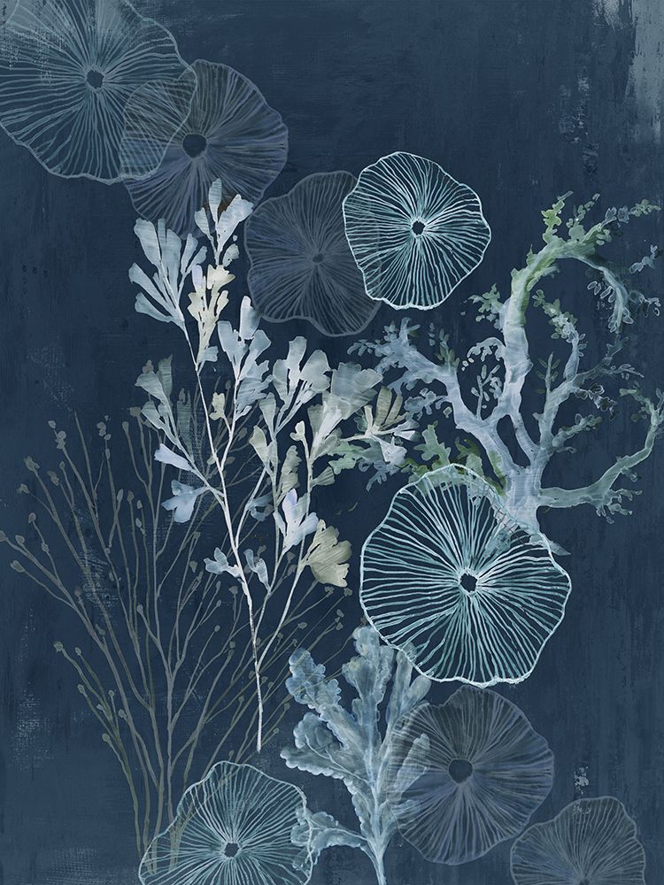 Ethereal Sea Treasures art print by Aimee Wilson for $57.95 CAD