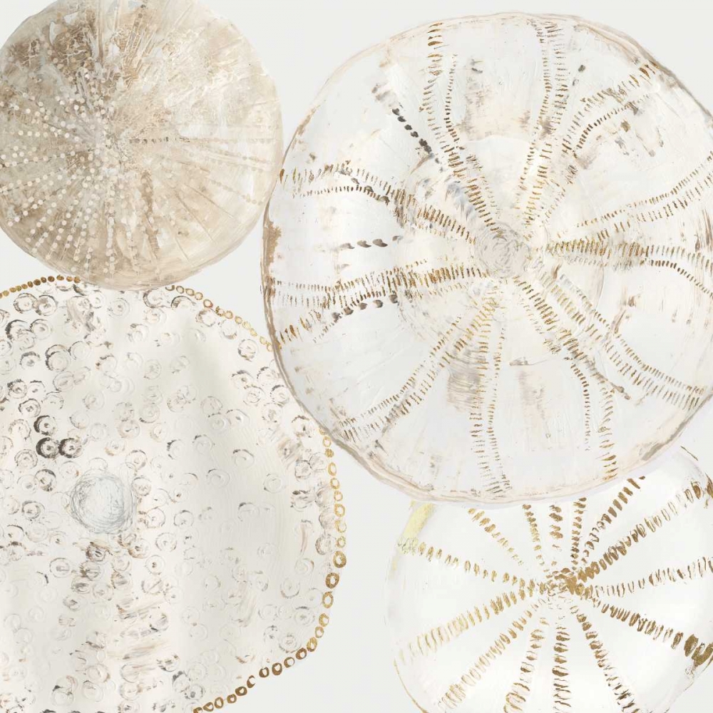Sea Patterns II art print by Aimee Wilson for $57.95 CAD
