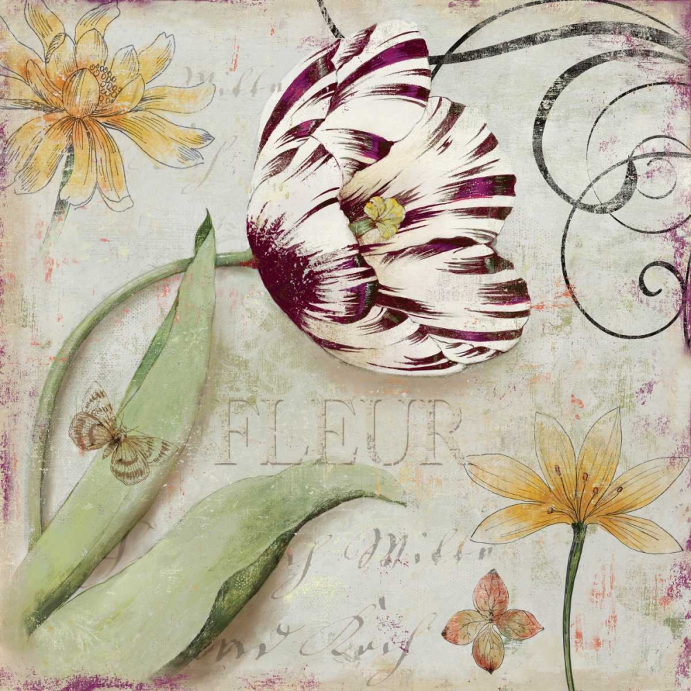 Tulipa I art print by Aimee Wilson for $57.95 CAD