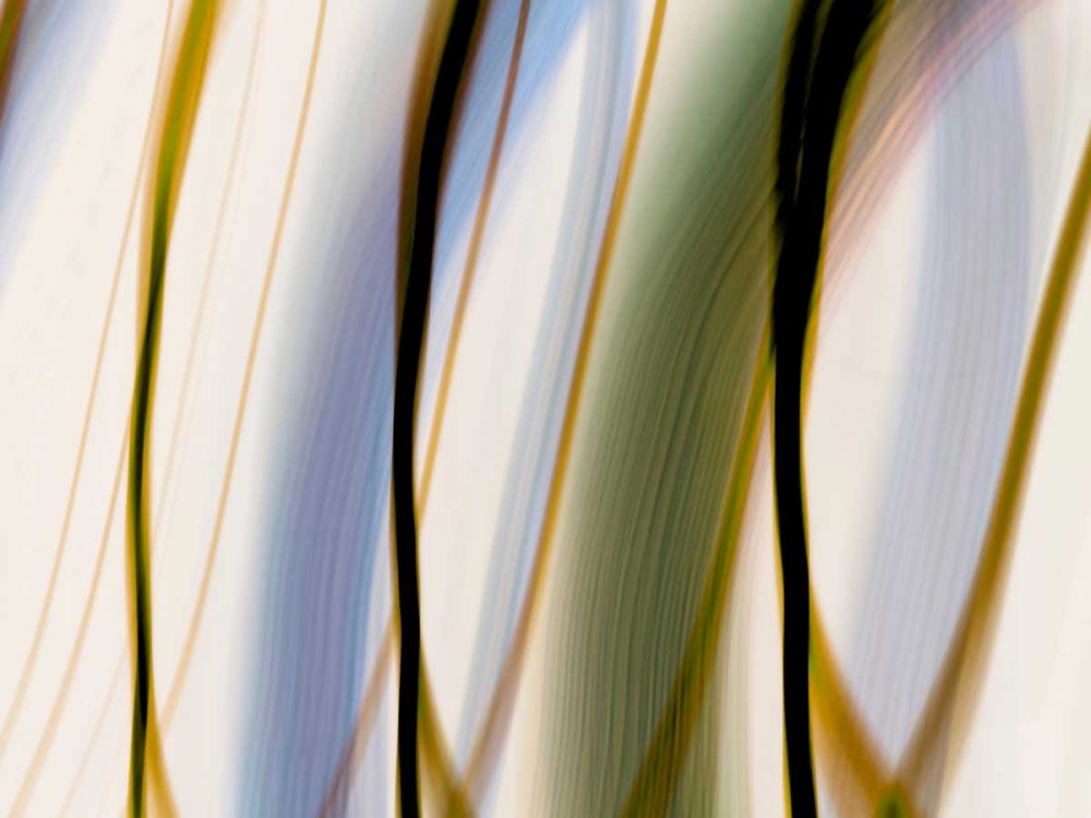 Silk Waves I art print by William Cooke for $57.95 CAD