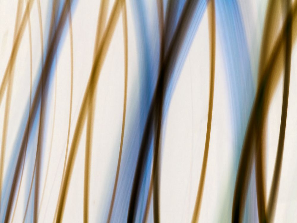 Silk Waves IV art print by William Cooke for $57.95 CAD