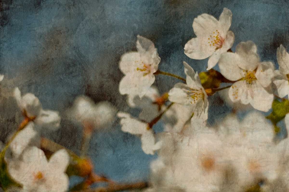 Early Dew art print by William Cooke for $57.95 CAD