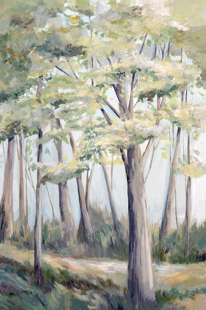 Verdant Canopy art print by Hannah Dawson for $57.95 CAD