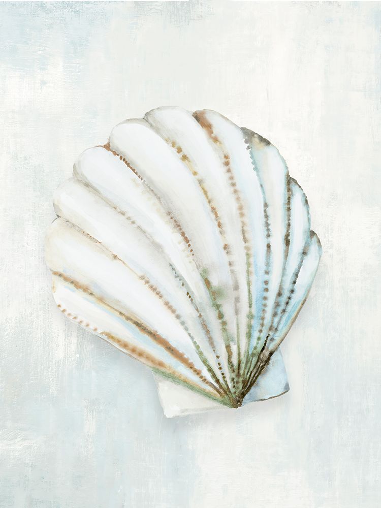 Seashell Serenity I art print by Hannah Dawson for $57.95 CAD