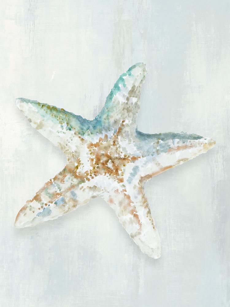 Seashell Serenity II art print by Hannah Dawson for $57.95 CAD