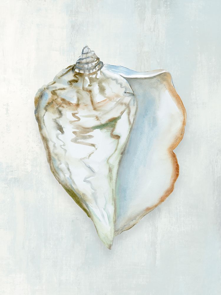 Seashell Serenity III art print by Hannah Dawson for $57.95 CAD