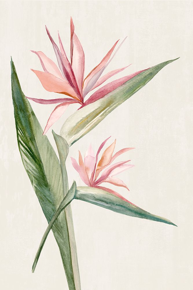 Whispers of the Shore art print by Hannah Dawson for $57.95 CAD