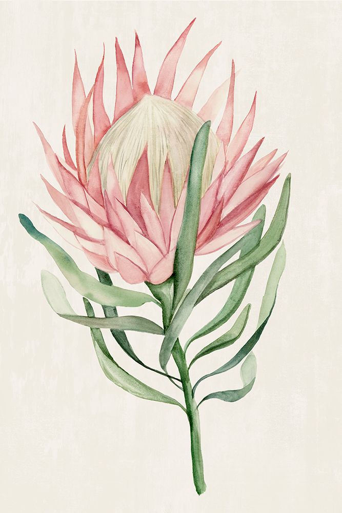 Stillness Unfolded art print by Hannah Dawson for $57.95 CAD