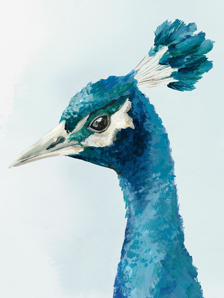 Dreamy Coastline art print by Hannah Dawson for $57.95 CAD