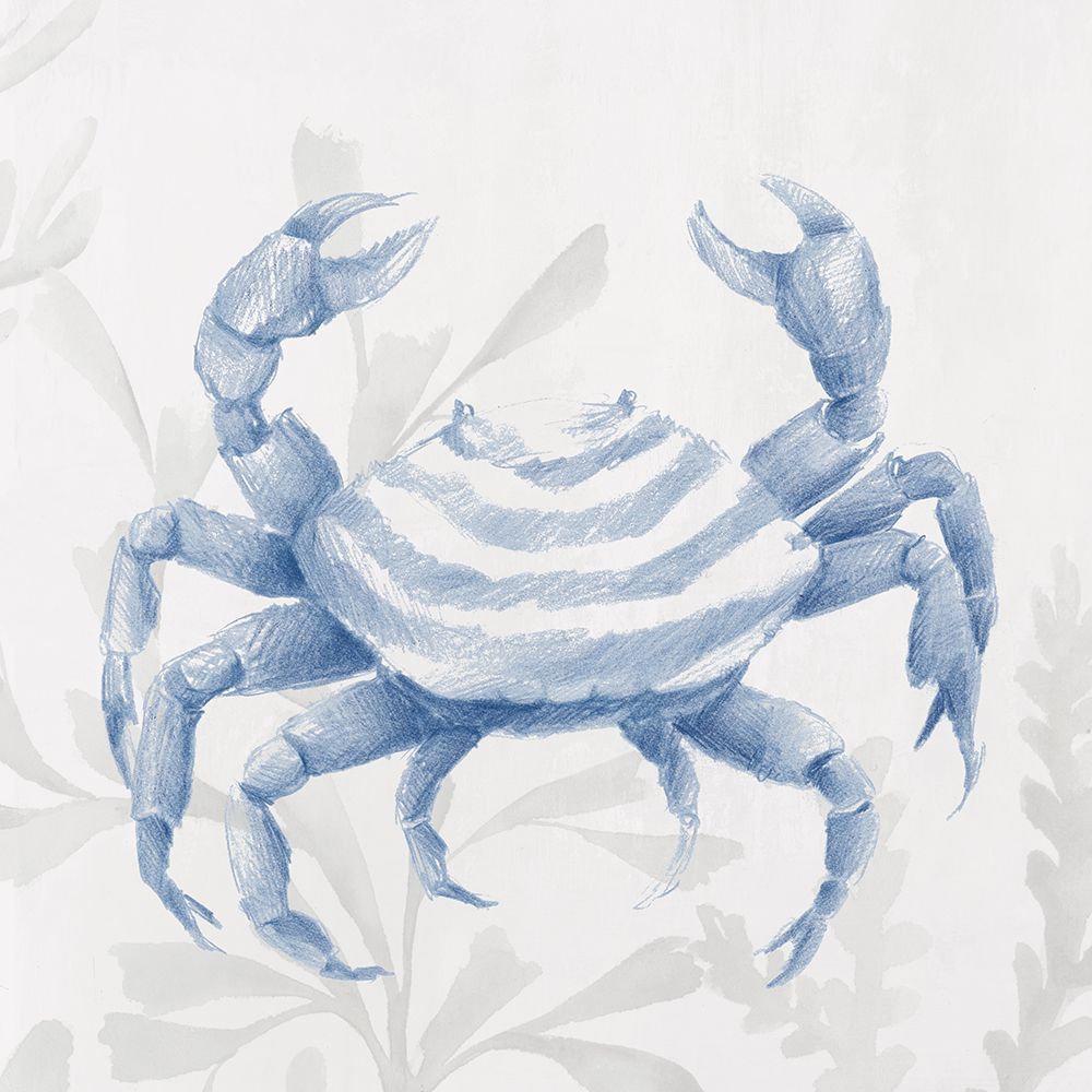 Oceanic Sketch IV art print by Hannah Dawson for $57.95 CAD