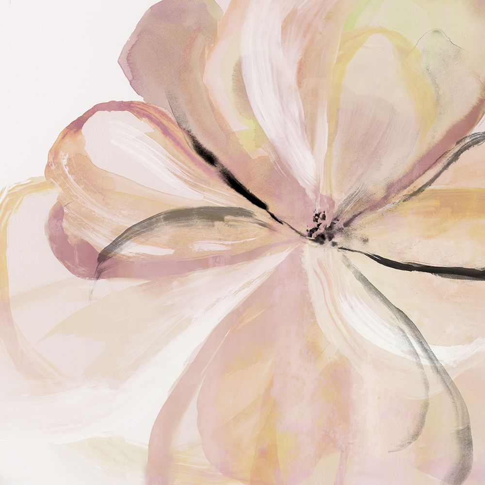 Petal Blush II art print by Hannah Dawson for $57.95 CAD