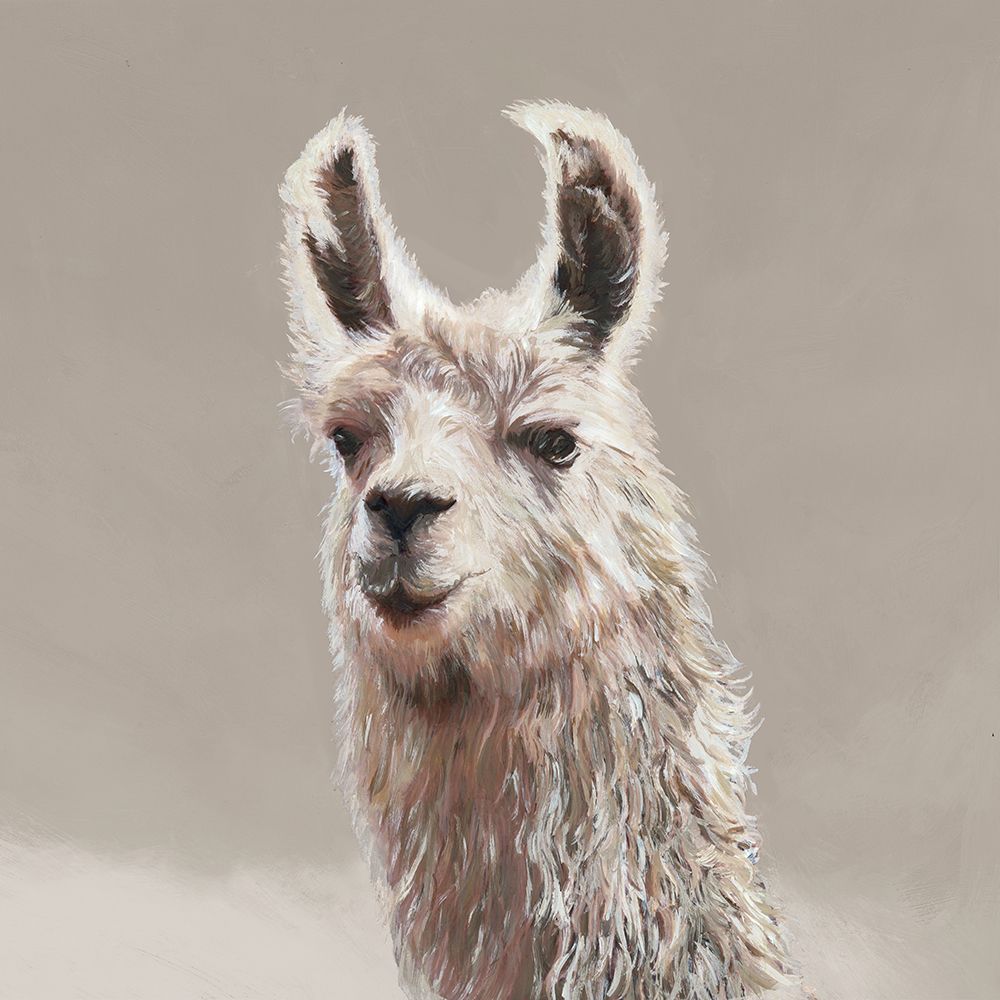 Gentle Llama Portrait in Neutral Tones art print by Hannah Dawson for $57.95 CAD