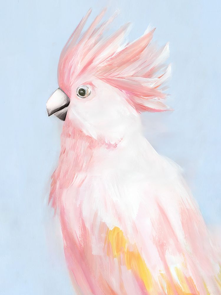 Pink Cockatoo in Soft Pastels art print by Hannah Dawson for $57.95 CAD