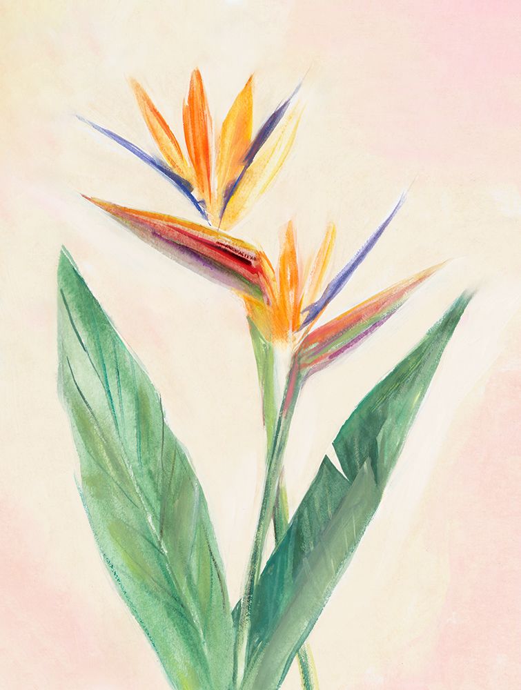 Bird of Paradise Blooms Brightly art print by Hannah Dawson for $57.95 CAD