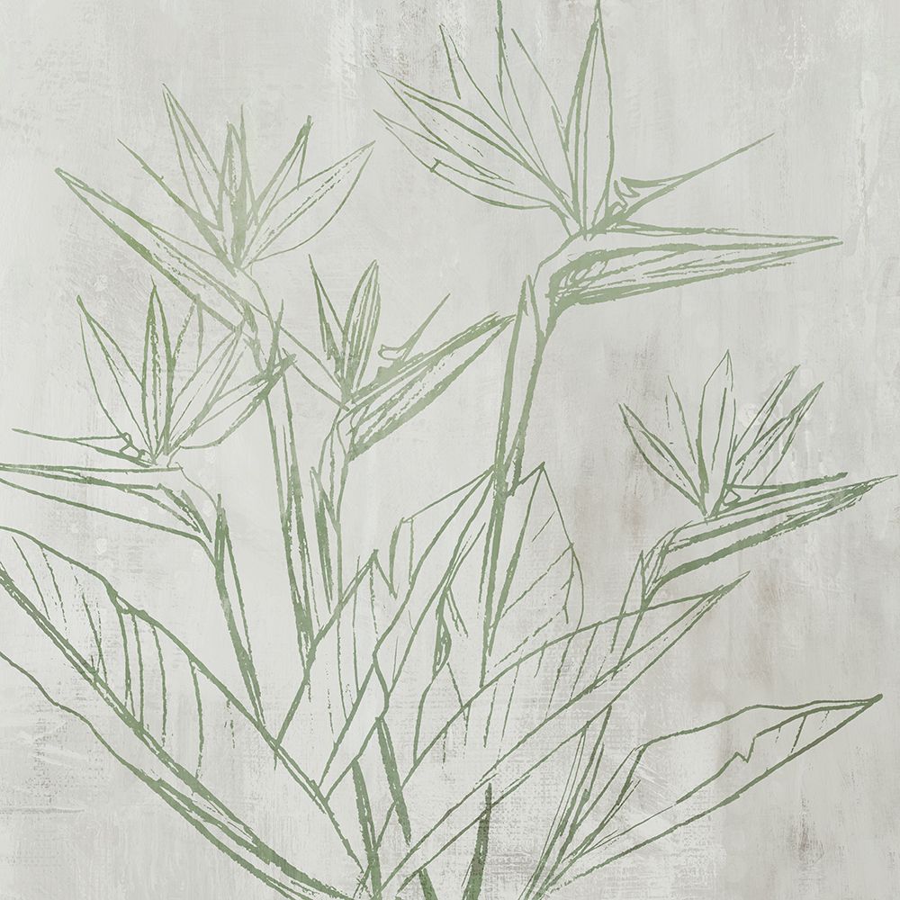 Botanical Linework on Textured Canvas art print by Hannah Dawson for $57.95 CAD