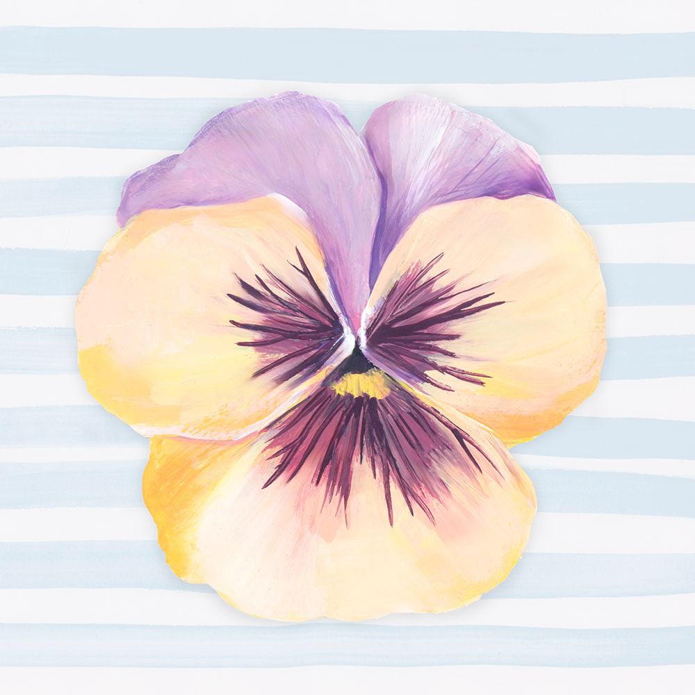 Pansy on Striped Canvas I art print by Hannah Dawson for $57.95 CAD