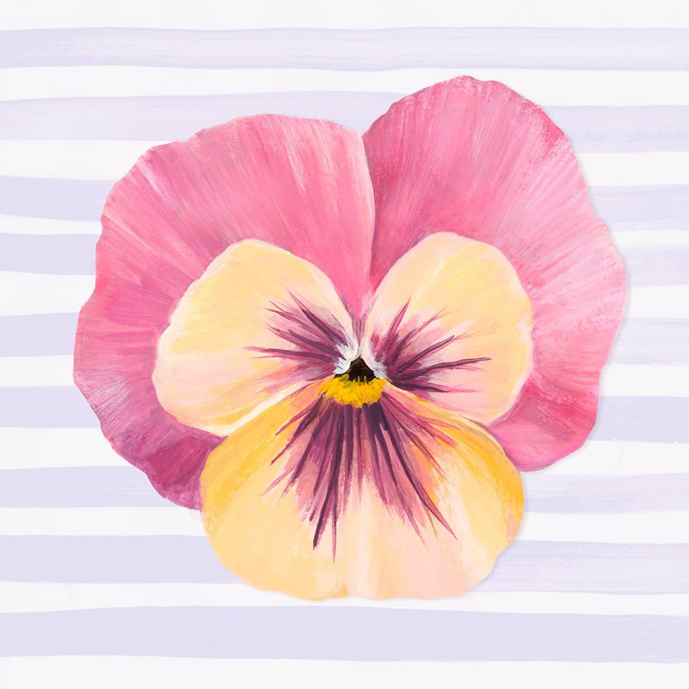 Pansy on Striped Canvas II art print by Hannah Dawson for $57.95 CAD