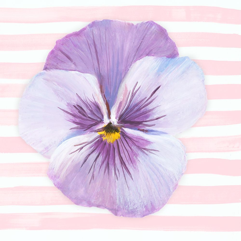 Pansy on Striped Canvas III art print by Hannah Dawson for $57.95 CAD