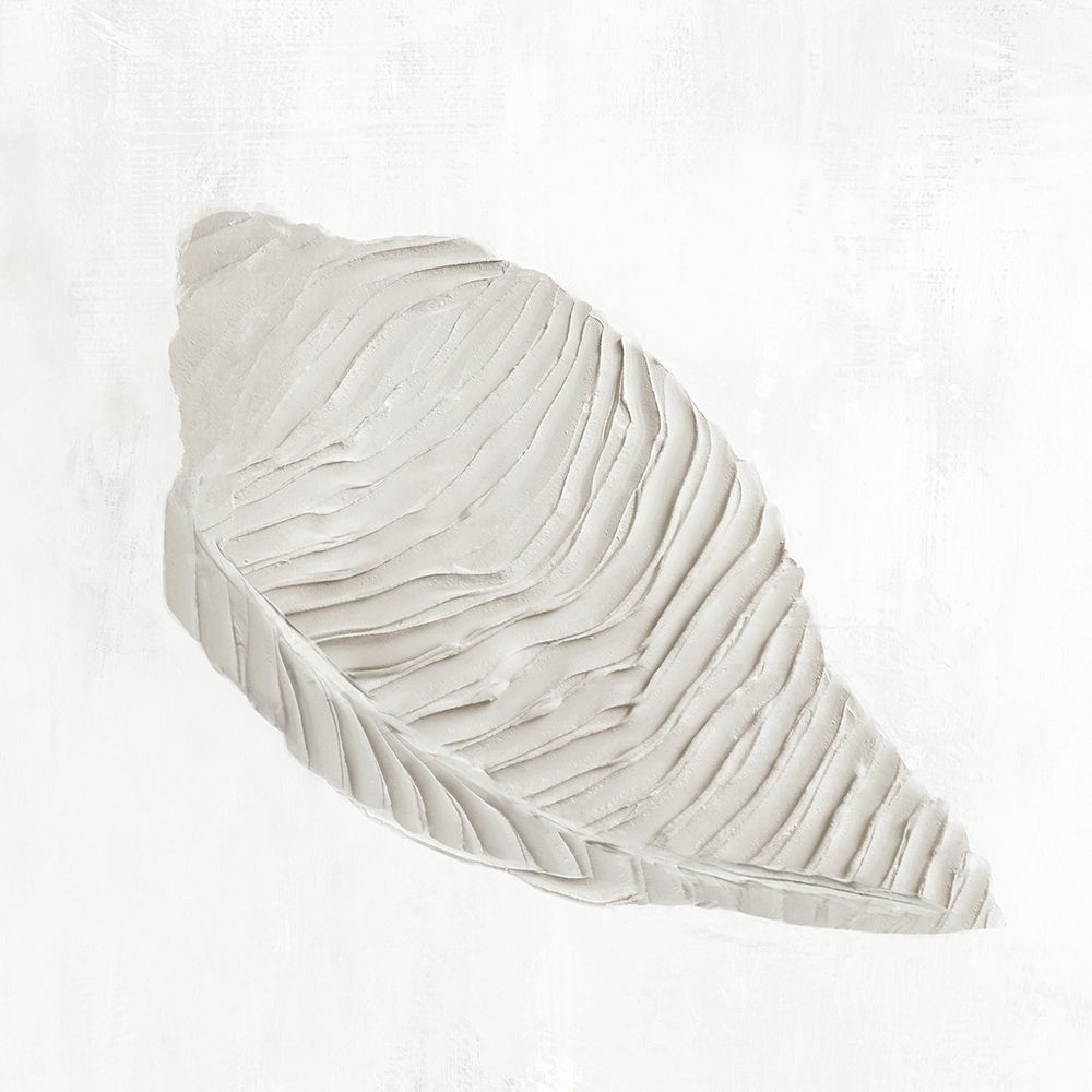 White Textured Shell I art print by Hannah Dawson for $57.95 CAD