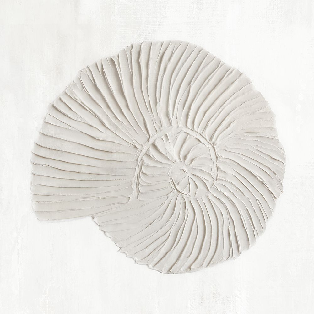 White Textured Shell II art print by Hannah Dawson for $57.95 CAD
