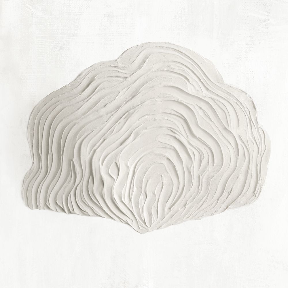 White Textured Shell III art print by Hannah Dawson for $57.95 CAD