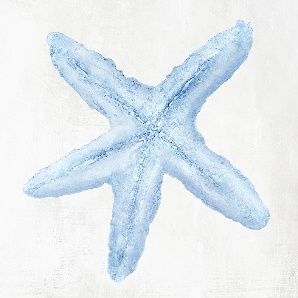 Light Blue Seashell I art print by Hannah Dawson for $57.95 CAD