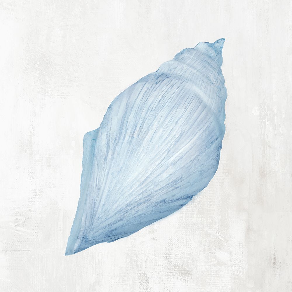 Light Blue Seashell II art print by Hannah Dawson for $57.95 CAD