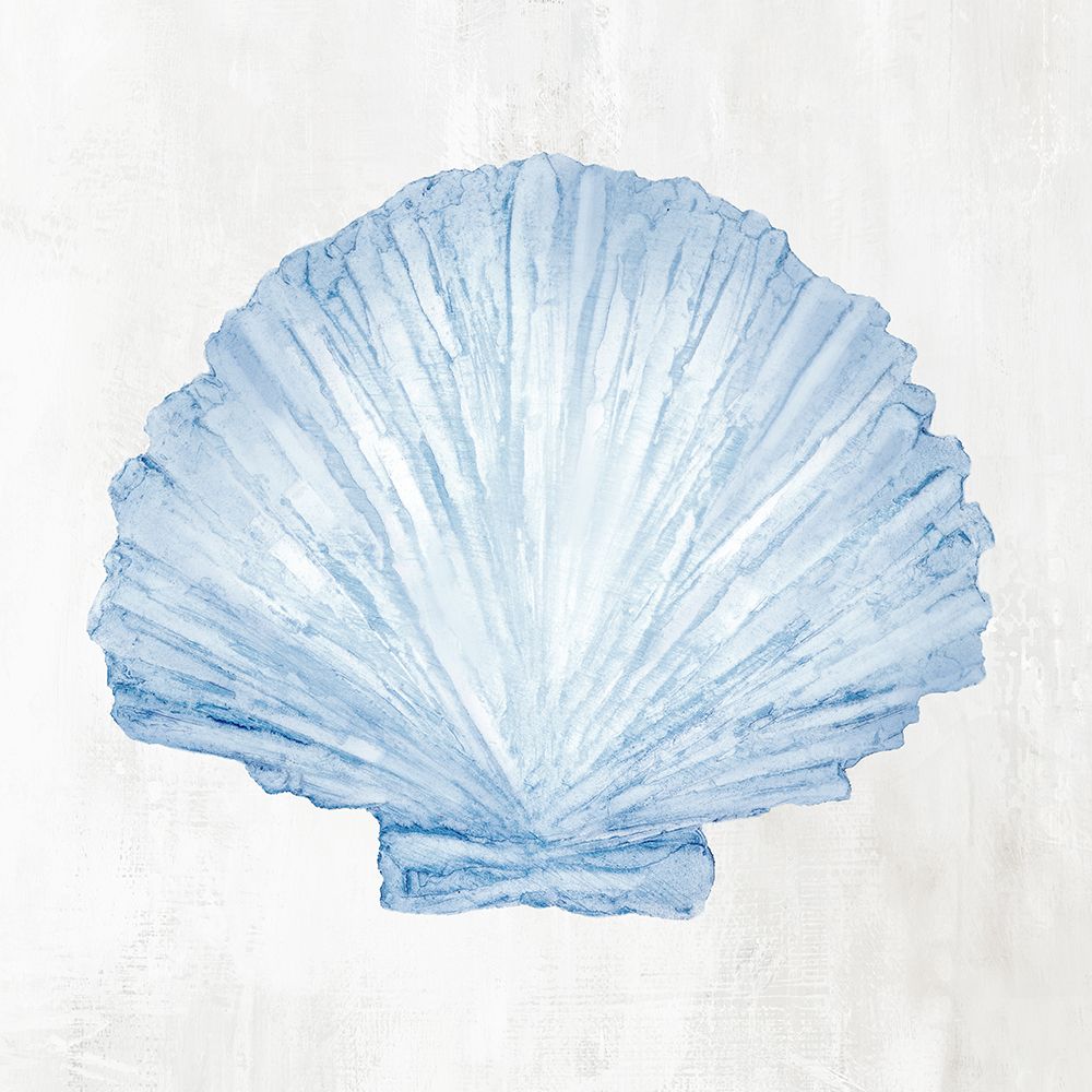 Light Blue Seashell III art print by Hannah Dawson for $57.95 CAD